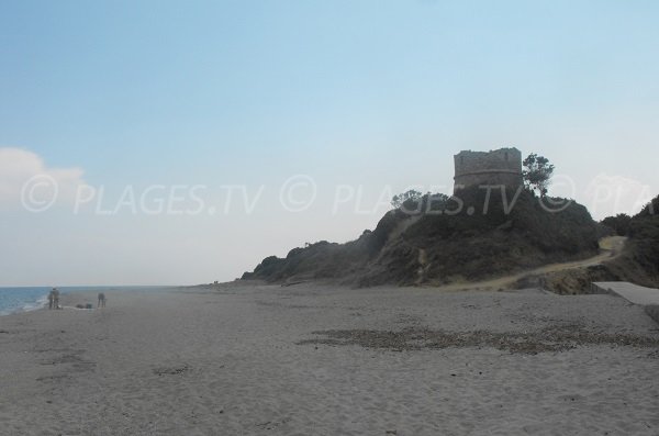 Plage d'Aléria avec la tour de Diane - Corse