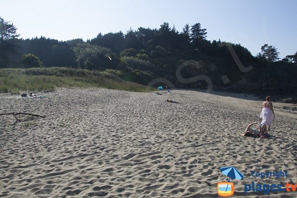 Environnement de la plage de la Mare - Saint Cast Guildo