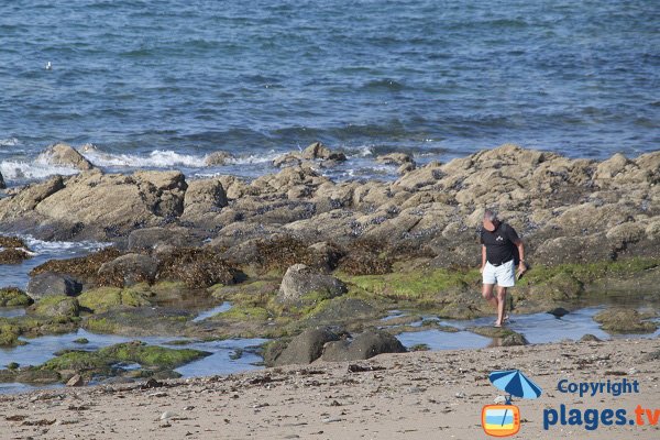 Fishing on the beach of Mare - Saint Cast