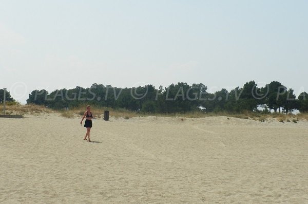 Wild beach in Argelès sur Mer