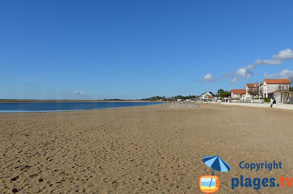 Marennes seaside at the basin level