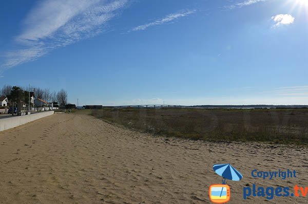 Environnement de la plage de Marennes