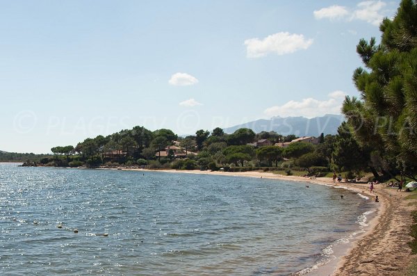 Ombra spiaggia di Porto-Vecchio - Marina di Fiori