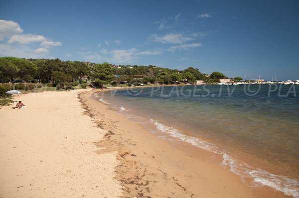 Photo of the Marina di Fiori beach in Porto Vecchio