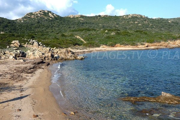 Beach in Marina di Fiori - Bonifacio