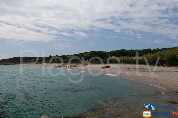 Plage de la Marina di Fiori en été - Bonifacio