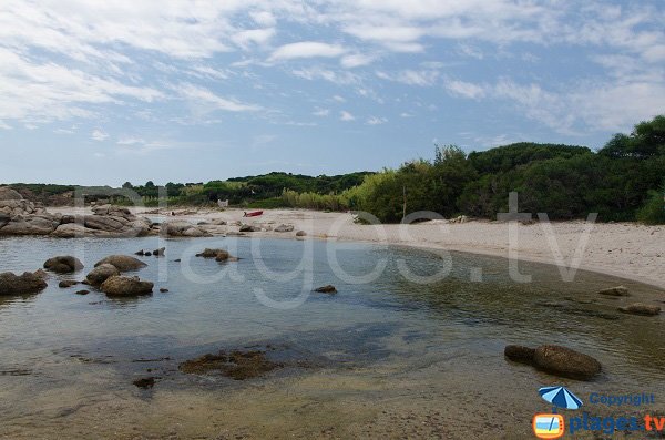 Left area of marina di Fiori in Bonifacio in Corsica