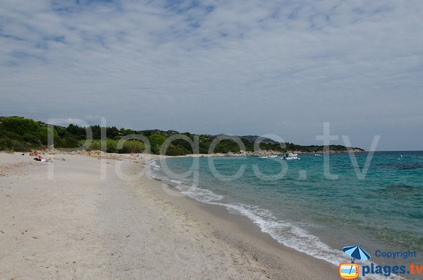 Sand beach near marina di Fiori - Bonifacio