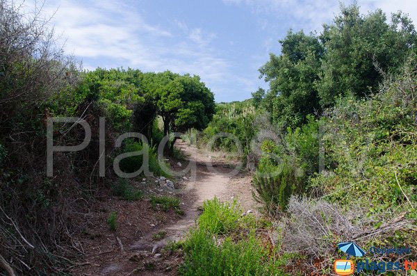 Sentier d'accès à la plage de la Marina di Fiori - Bonifacio