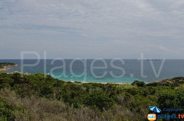 Vue globale de la plage de la Marina di Fiori