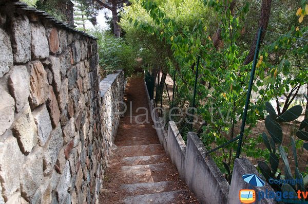 Sentier d'accès à la plage de Marinca