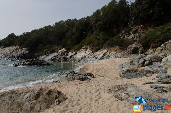 Extrémité de la crique de Marinca - Olmeto