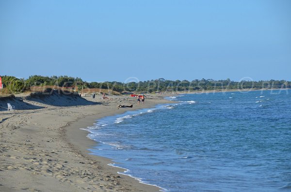 Grande plage de sable à Sorbo Ocagnano