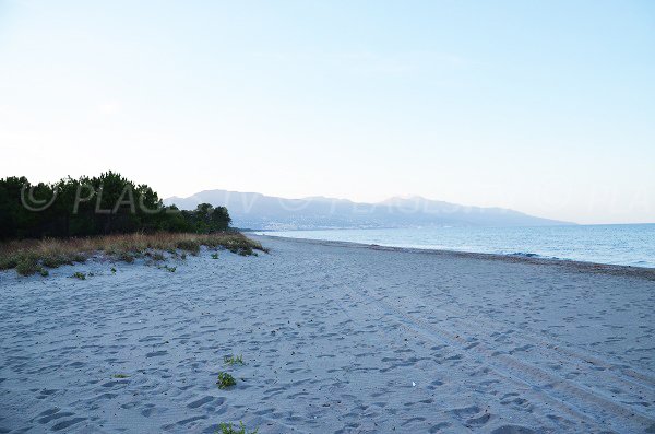 Foto della spiaggie delle Marine di Borgo - Bastia