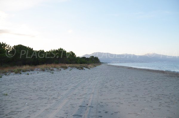 Plage au nord des Marines de Borgo