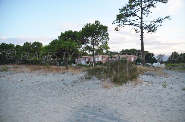 Environnement de la plage des Marines de Borgo