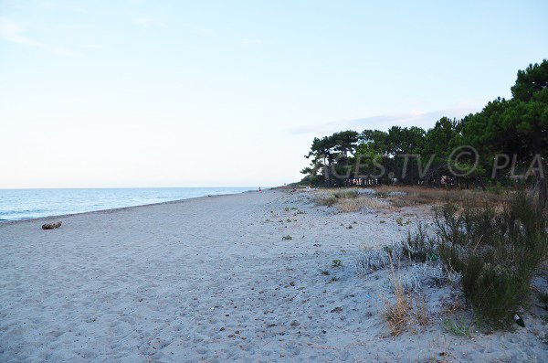 Photo of Marines of Borgo beach - Corsica