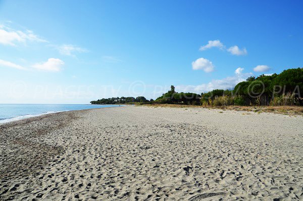 Vista della spiaggia da Taglio Isolaccio - marine Fiumaltu