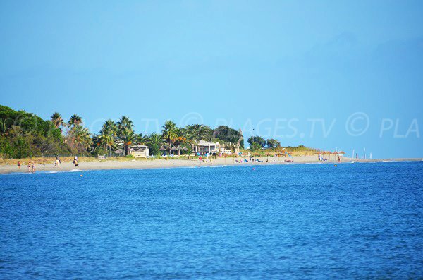 Photo de l'extrémité de la pointe