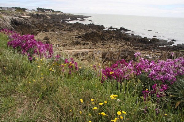 Environnement de la plage des Marsouins à Pouliguen