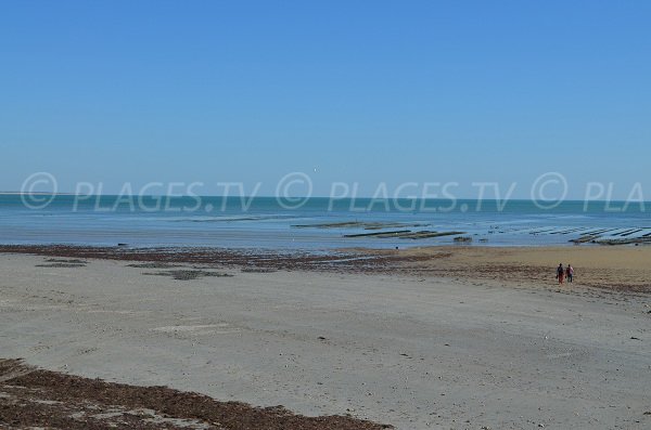 Plage au Pas du Martray sur l'Ile de Ré