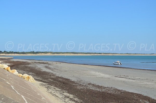 Martray beach in Ars en Ré in France