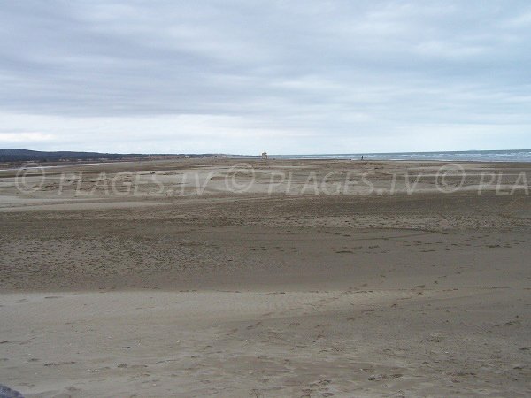 Plage sauvage à Gruissan