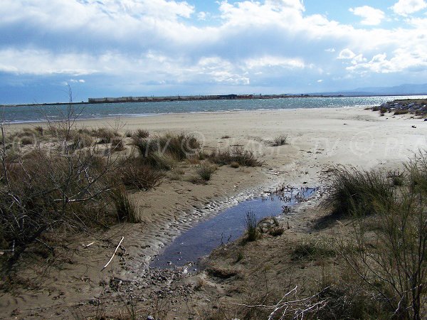 Plage de Mateille avec vue sur la base conchylicole de Gruissan 