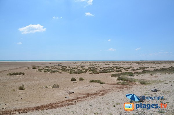 Foto della spiaggia di Mateille di Gruissan