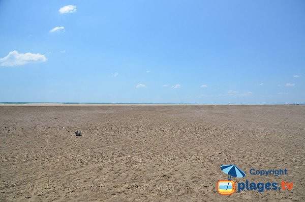 Spiaggia selvaggia a Gruissan