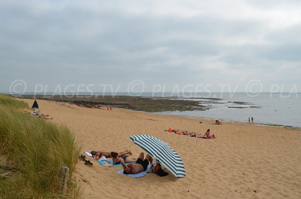 Beach in St Pierre d'Oléron - Matha