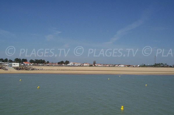 Photo of Maupas beach in La Tranche sur Mer