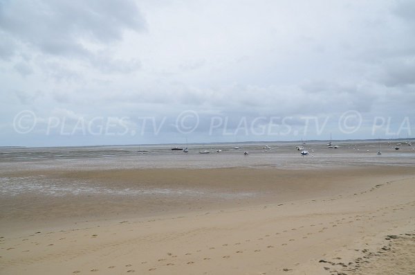 Bassin d'Arcachon depuis la plage du Mauret - Andernos les Bains