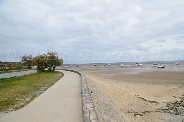 Sentier le long de la plage de Mauret à Andernos les Bains