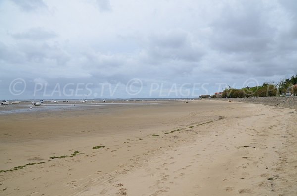 Photo de la plage au niveau du camping des Fontaines à Andernos les Bains