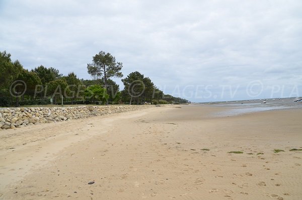 Plage à Andernos les Bains à côté d'un camping