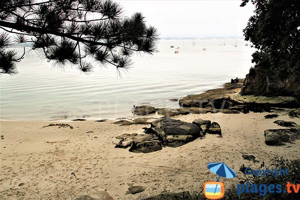 Baignade dans la crique de Mec'hed Yaouank - Fouesnant