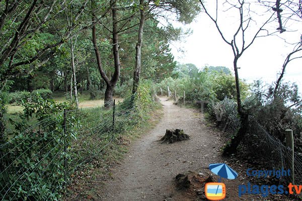 Sentier d'accès à la crique de Mec'hed Yaouank - Fouesnant