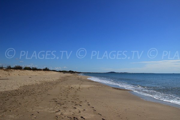 Plage de la Méditerranée en direction de Vias