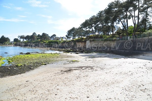 Plage de Men Allen à La Trinité sur Mer - 56