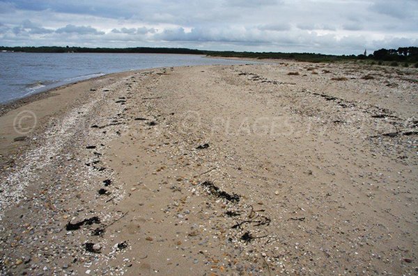 Vue de l'estuaire de la Vilaine depuis la plage de Men Armor à Pénestin