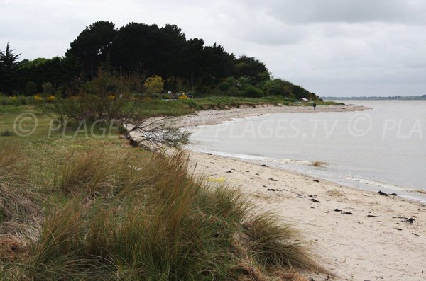 Photo of Men Armor beach in Pénestin