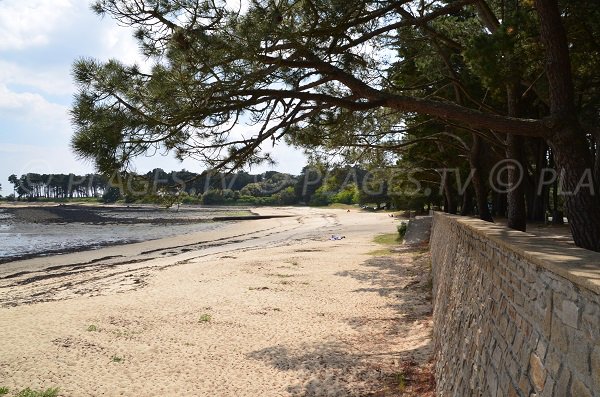 Plage de Men er Beleg à St Philibert (56)