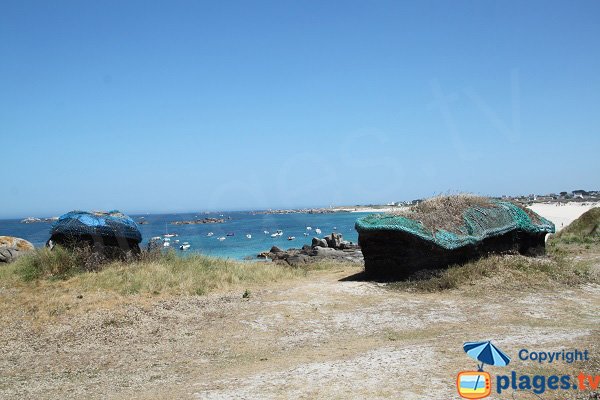 Alghe intorno all'insenatura di C'hi Du - Kerlouan