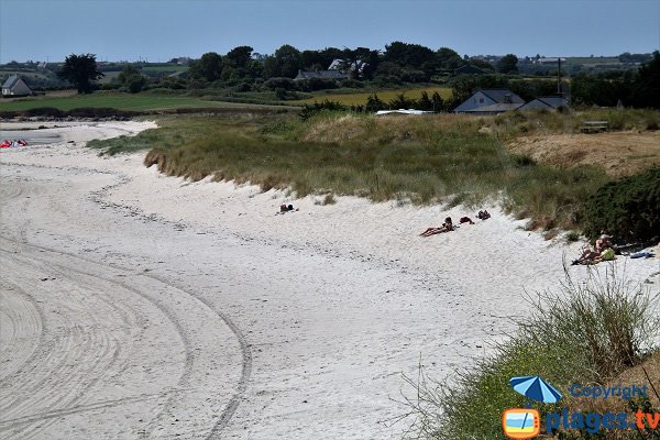 Dunes de la plage du Menhir à Plounéour-Trez