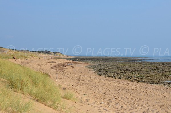 Photo of Menouniere beach in Oleron - France