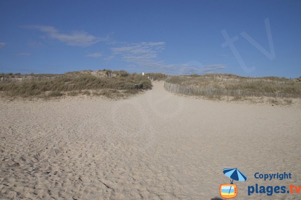 Sentier d'accès à la plage du Mentor - Plouharnel