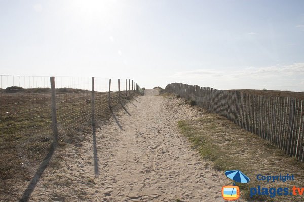 Montée de la dune de la plage du Mentor à Plouharnel