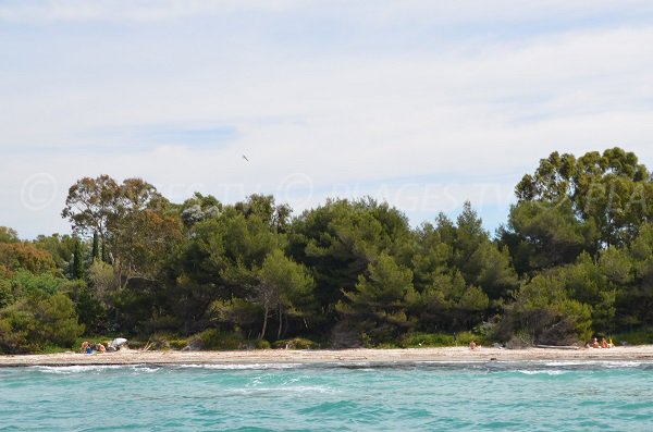 Plage du Grand Jardin dans le Var à Bormes les Mimosas