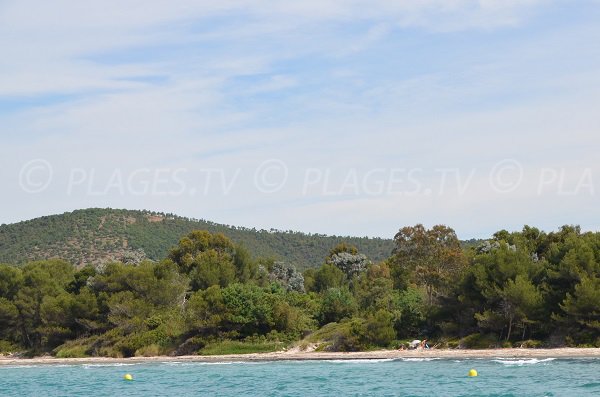 Photo de la plage du Grand Jardin à Bormes les Mimosas